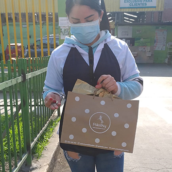 Cliente Palosky 2